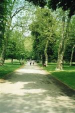 main avenue main avenue